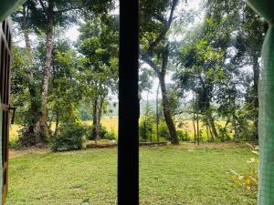 Green Heaven