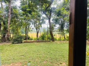 Green Heaven