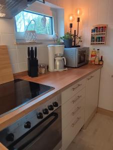 Apart-Lachmoewe-im-Moewennest-Tossens