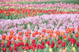 1-Story Condo Near Vandy, Elevator, Garage, Patio Two Bedroom with 1 King and 2 Queens, Walk to Campus and Centennial Park, 10 Mins to Downtown, 24 Hr Hospitality