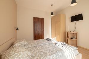 Charming flat on the Theatre street of Sofia