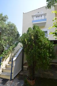 Iris Maisonettes and Studios