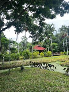 Thai style cabin Doi Saket