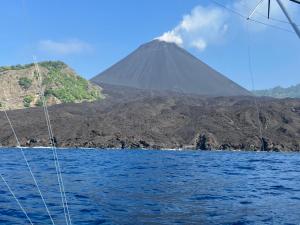 Martini Sport Fishing Charters