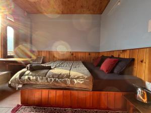 The Jibhi Mountain Retreat