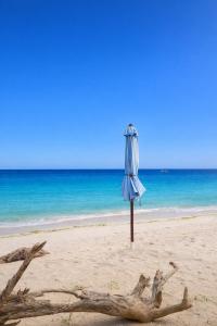 Harmony Beachfront Bungalow