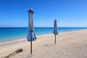 Harmony Beachfront Bungalow