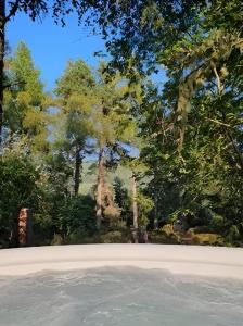 Wood cabin with hot tub surrounded by nature