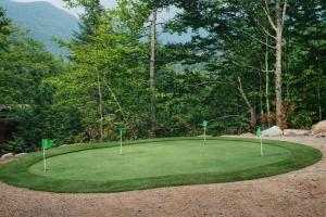 Huge 7BR Mountain Lodge Hot Tub & Putting Green