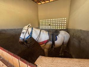 Refúgio Perfeito em Meio à Natureza