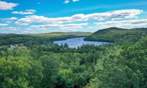 Mountain getaway overlooking Lake Christopher