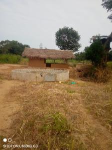 Dalukgala village