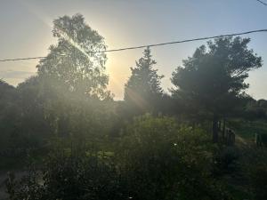 Il Mondo di Paola img12