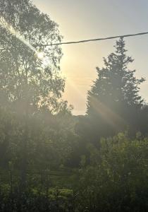 Il Mondo di Paola img10