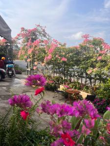 Sapung homestay Bảo Lộc