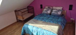 gite climatisé jusquà 9 personnes secteurs la broque Obernai Strasbourg