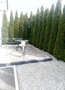 Domek nad Stawem Antoninek - Poznań - 2 łazienki, Self check-in, bezpłatny parking