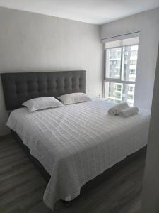 Departamento Completo Pueblo Libre