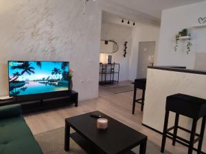 Apartman Centar Surcin 2