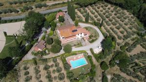 Villa Il Borraccio - Apartments Azalea and Begonia