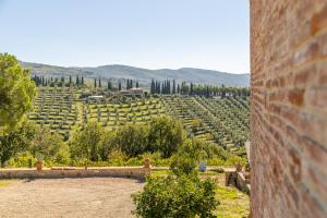 Fattoria di Muciafora