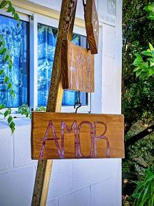 Amor amor