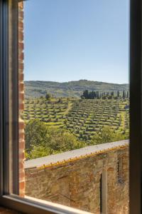 Fattoria di Muciafora