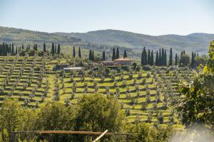 Fattoria di Muciafora