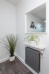 Stratford Central Apartment