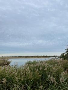 Maison de vacances pour 5 personnes