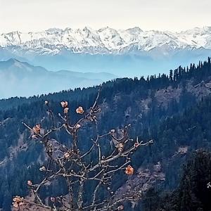 Nag tibba camp matiana