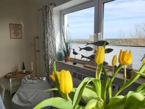 Apartment "Strandkoje"