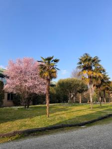 Parco Hotel Sassi