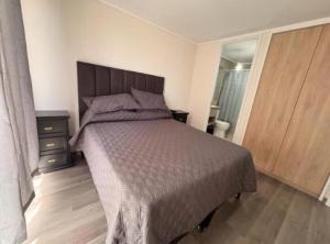 Departamento bella vista en Santiago centro