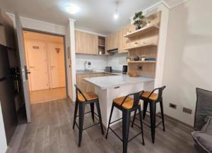 Departamento bella vista en Santiago centro