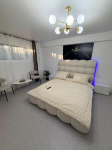 LVO Studio