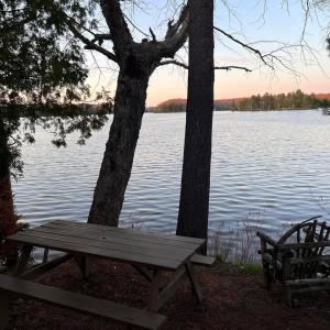 Pines Lakefront Cottage at Horseshoe Lake