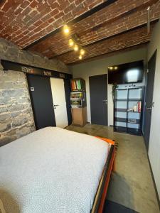 DAILLY studio