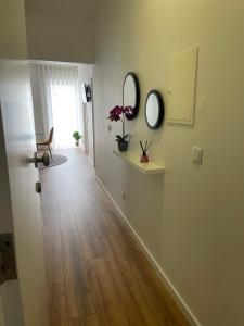 Deolinda Pereira - Casa das Gatas