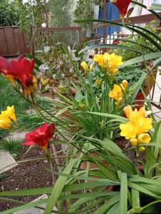 4 Seasons Suites Paradise Athens Airport 2