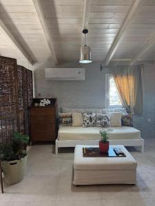 Katrins Penthouse & Katrins Apartment-Alepou Corfu