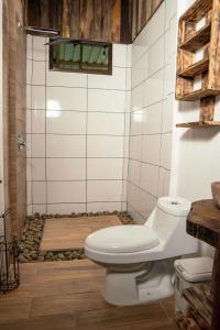 Cabañas en medio del bosque rodeada de fauna