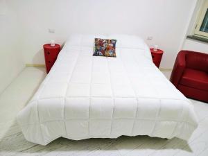 River and Tower Pisa