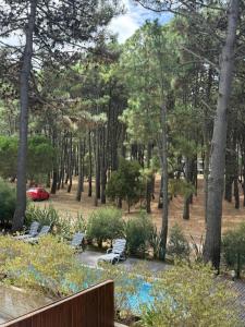 Departamento Premiun Pinamar Hollywood 1D