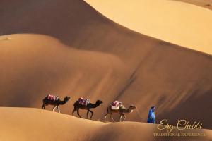 Erg Chebbi Traditional Experience & Activities