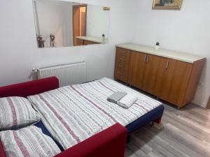 Piața Libertății Apartament Ultracentral 2 Rooms