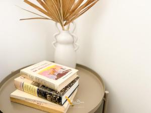 Lou Pichoun avec Vue sur la Cathédrale Wifi