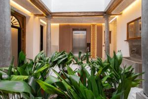 Patio Nazarí Suites