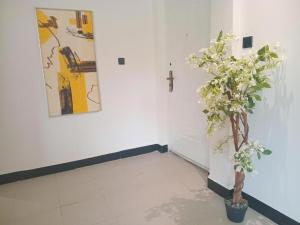 IVORY PEACEFULLY Home