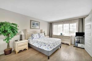Stunning 1 Bedroom at Ocean Village